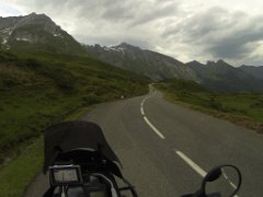 Cows :: Cold'Aubisque